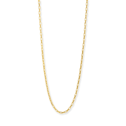 Stellari Gold 2.5mm Open Box Chain Necklace